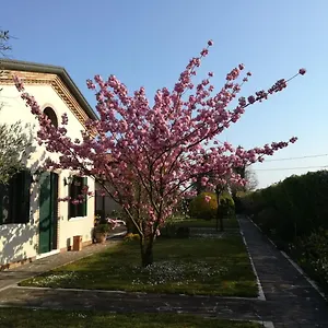  Affittacamere Casa Pianta Italia